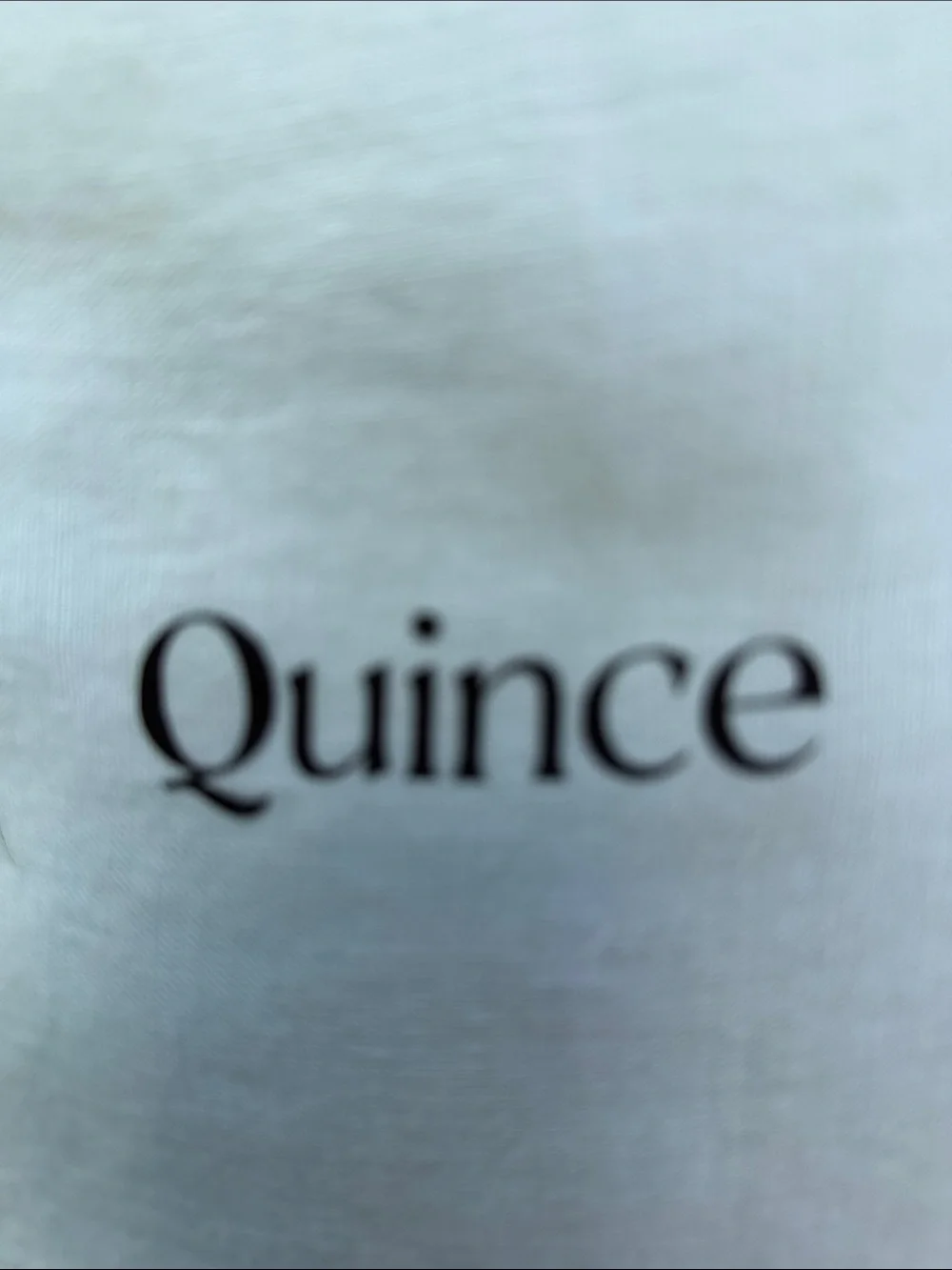 Quince NWOT European  linen Duvet Cover Set in Mint Twin Size 046